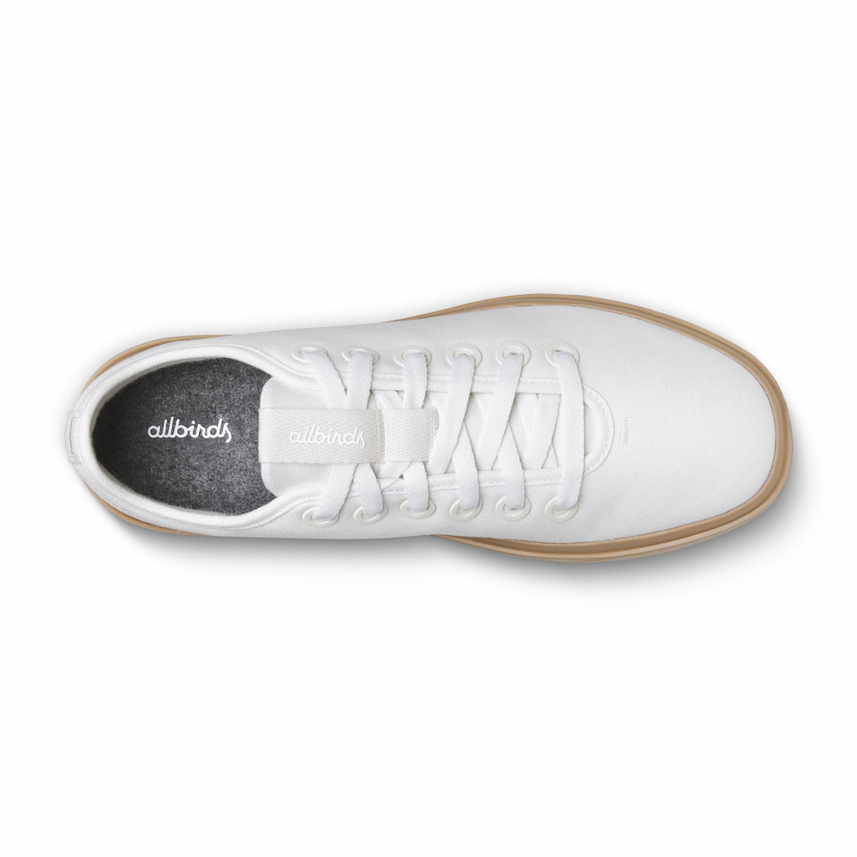 Allbirds Men Canvas Piper