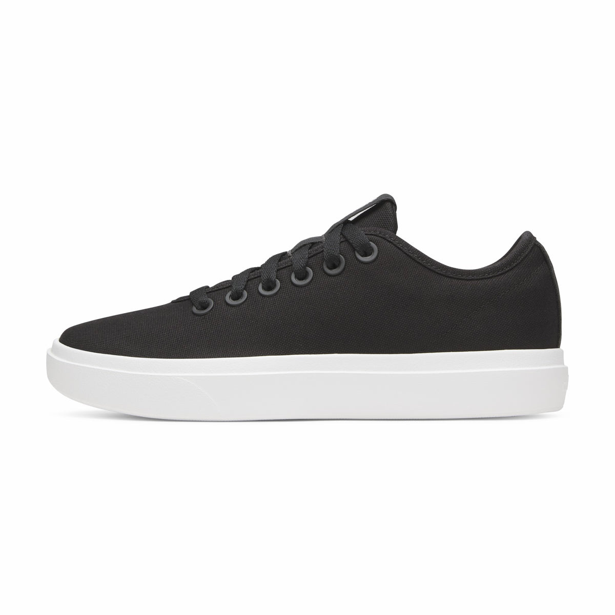 Allbirds Men Canvas Piper