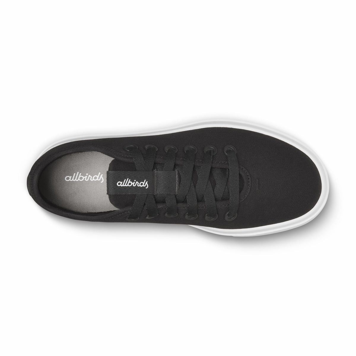 Allbirds Men Canvas Piper